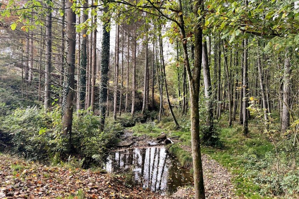 The Forest Retreat- Luxurioese Ferienwohnung Mit Privater Sauna ヴェルメルスキルヒェ エクステリア 写真