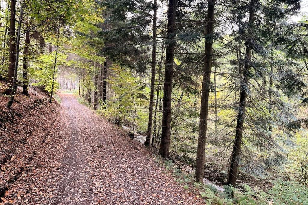 The Forest Retreat- Luxurioese Ferienwohnung Mit Privater Sauna ヴェルメルスキルヒェ エクステリア 写真